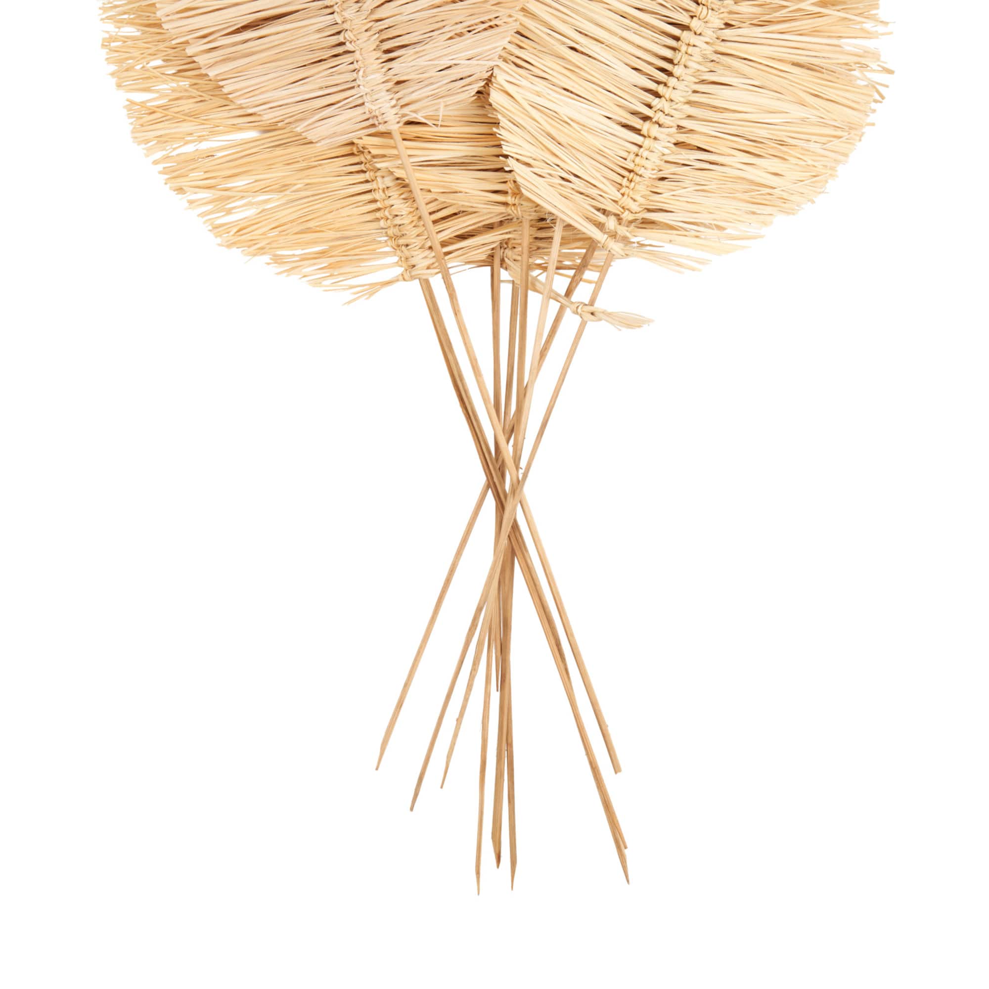 32" Light Brown Dried Grass Spear-Shaped Foliage with Sharp Stems